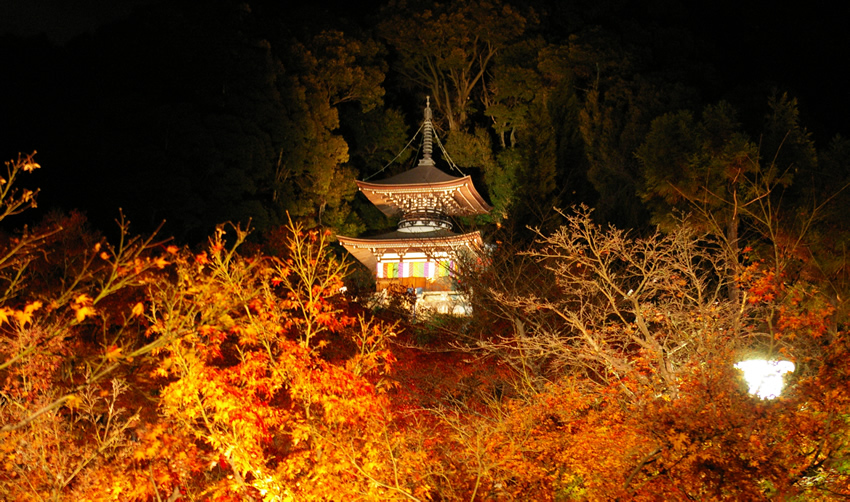 &nbspMasdan! Ang Kariktan ng Eikando Temple sa Kyoto