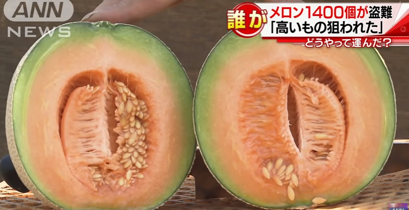 &nbsp1,400 melons stolen from farm in Ibaraki