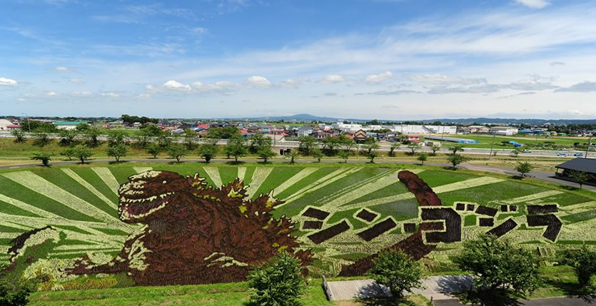 &nbspGodzilla appears in northern Japan as awesome rice paddy art