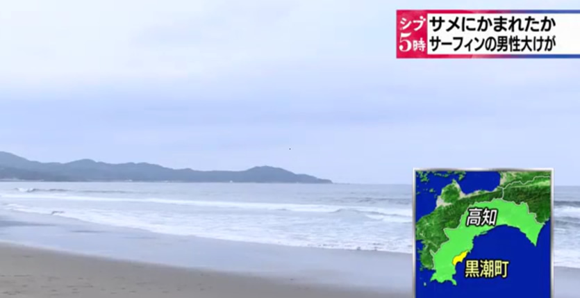 &nbspShark likely attacked surfer off Kochi Prefecture