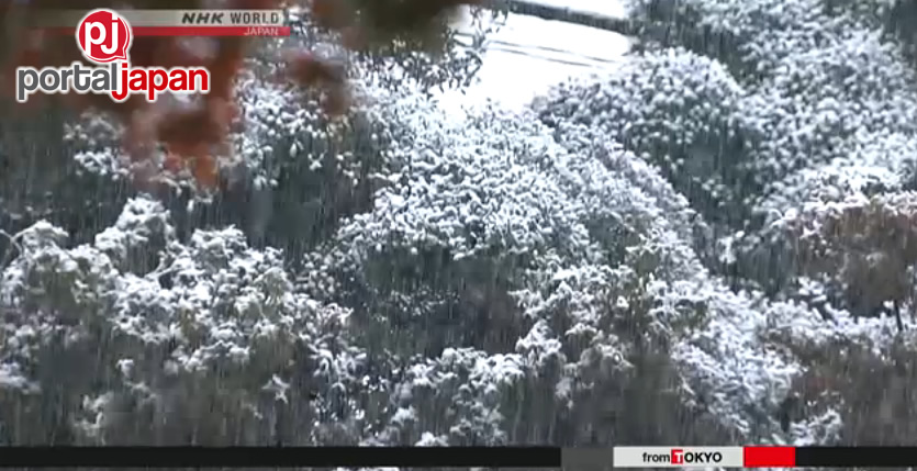 Snow in Tokyo (Reproduction/NHK)
