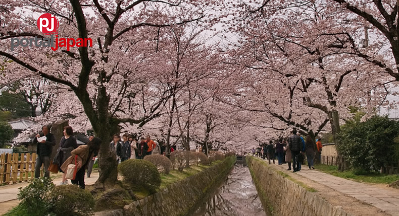 &nbspPhilosopher’s Path: Isang sikat na cherry blossom viewing spot sa Kyoto
