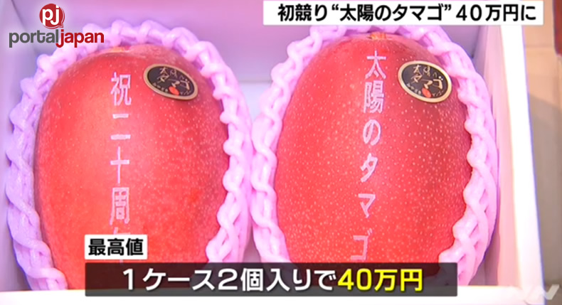 &nbspIsang pares ng mangga nakakuha ng record-matching na 400,000 yen sa ika-unang auction