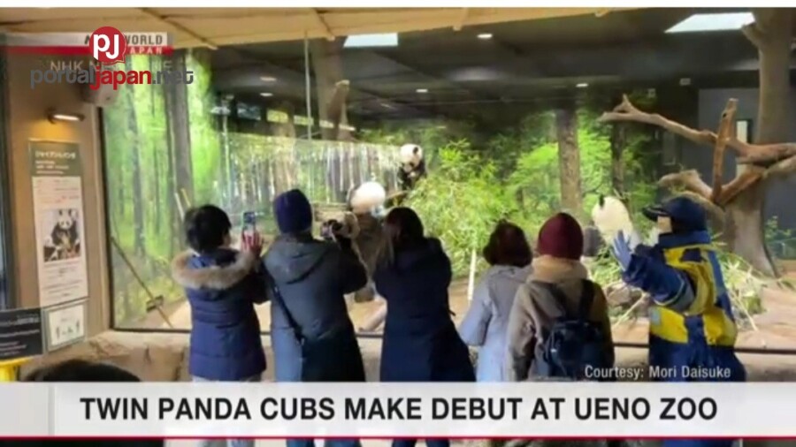 &nbspKambal na Panda, inilabas na sa publiko sa Ueno Zoo