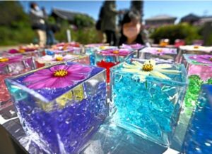 &nbspWest Japan temple nag display ng mga makukulay na cosmos flower