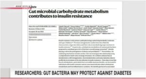 &nbspJapanese researcher: ilang mga gut bacteria maaaring maprotektahan laban sa diabetes