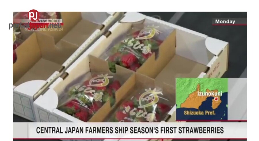 &nbspAng mga magsasaka sa Central Japan ay nagpapadala ng mga unang strawberry sa season