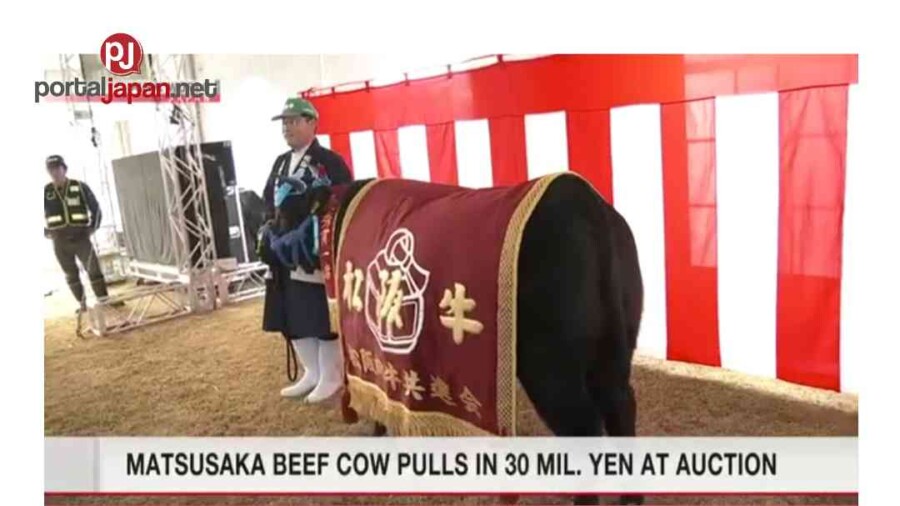 &nbspAng Matsusaka beef na baka ay nakakuha ng 30 milyong yen sa auction