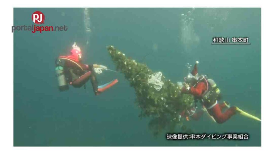&nbspNaka-set up ang underwater Christmas tree sa diving spot sa Wakayama Prefecture